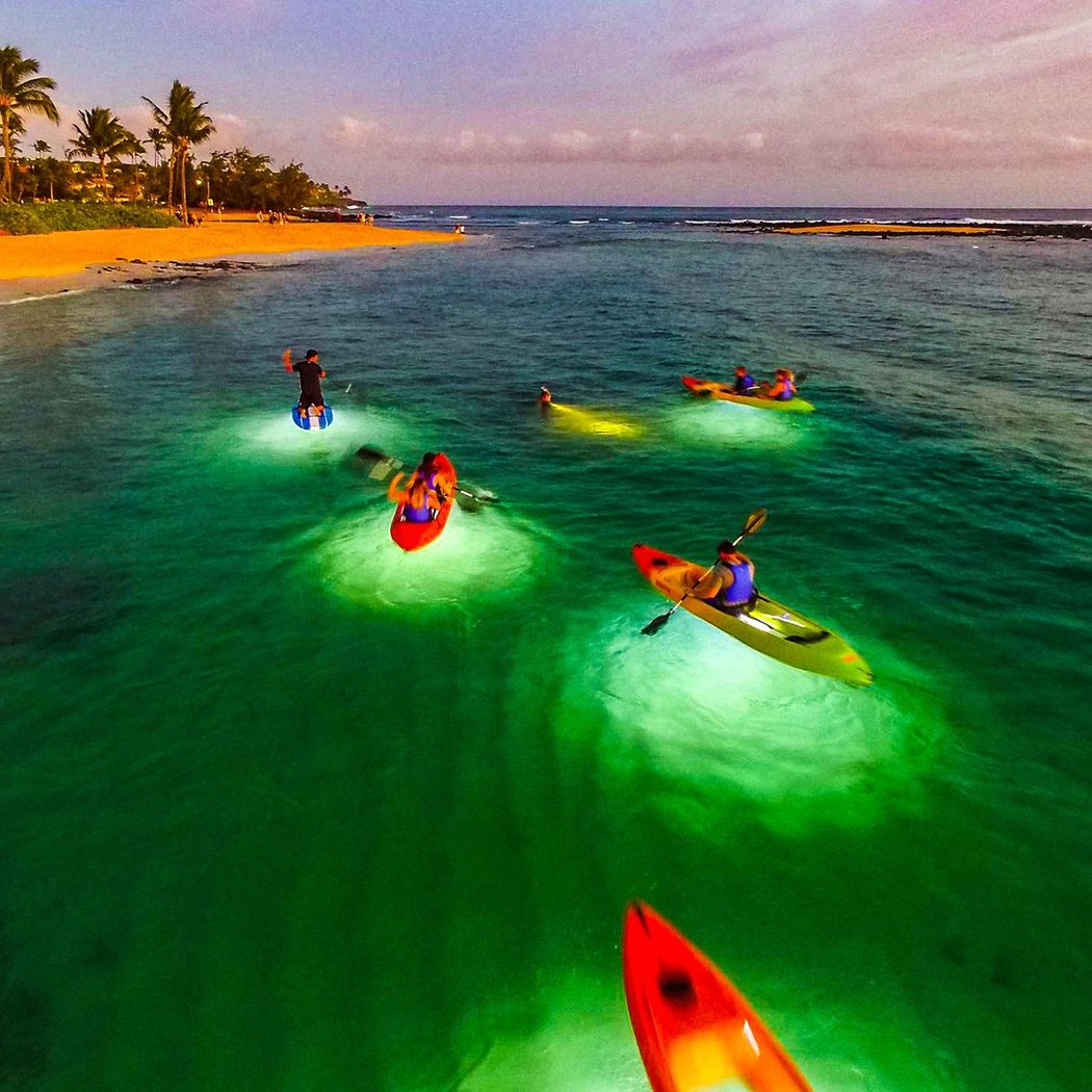 Moonlight Paddle 4
